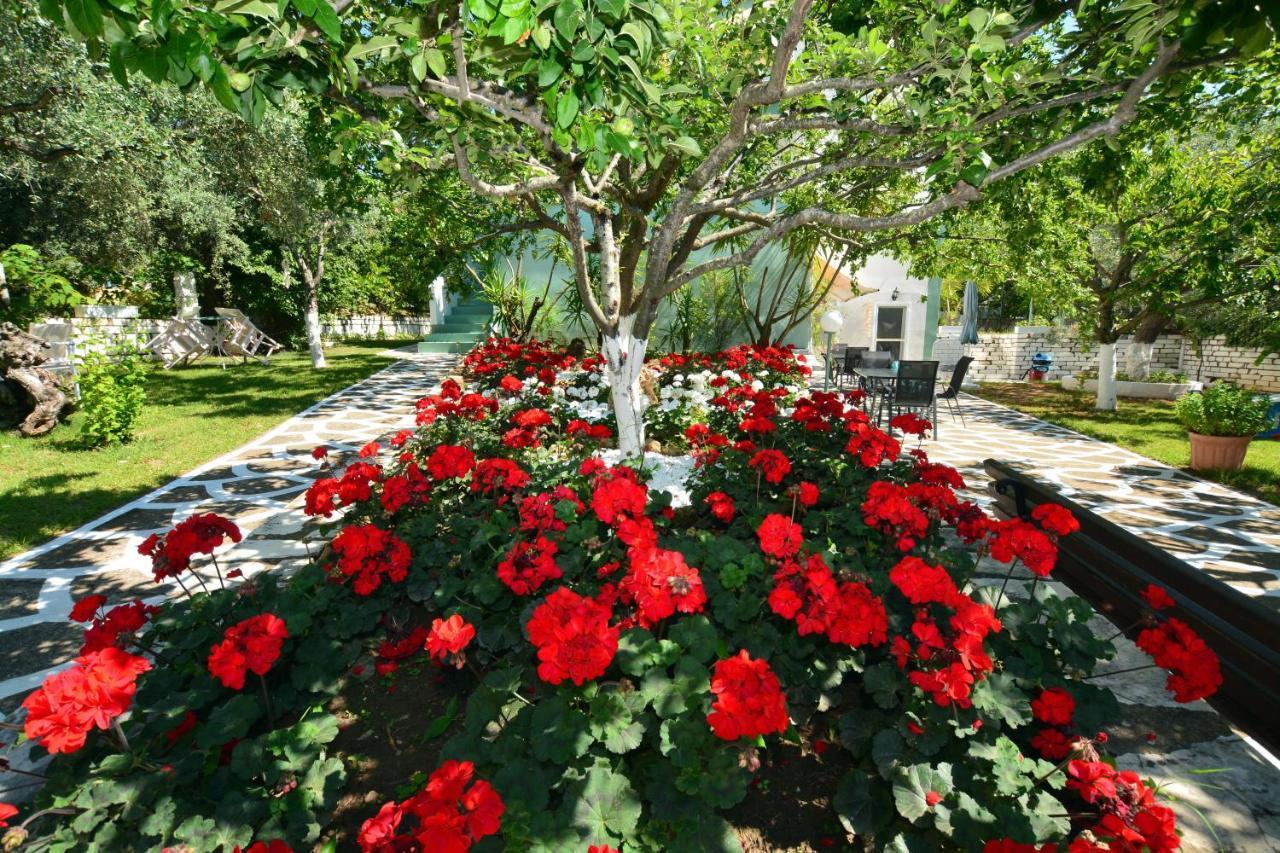 Villa Emilia Pachis  Zewnętrze zdjęcie